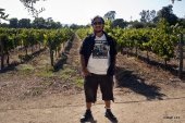 Ashish at Napa Vineyards
