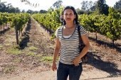 Reji at Napa Vineyards